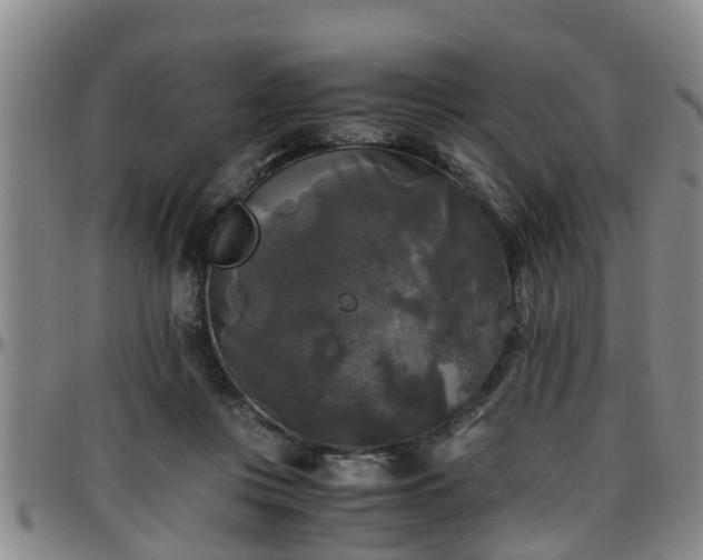 X0000096400359200801311356