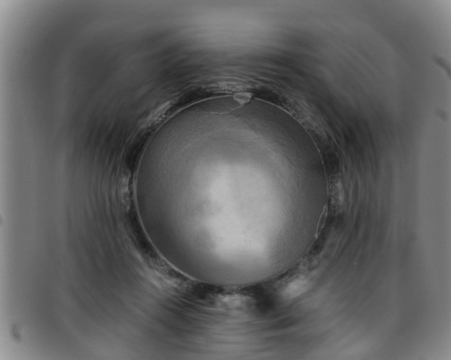 X0000096400360200801311356