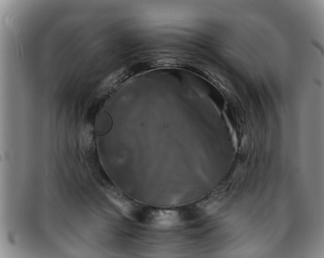 X0000096400361200801311356