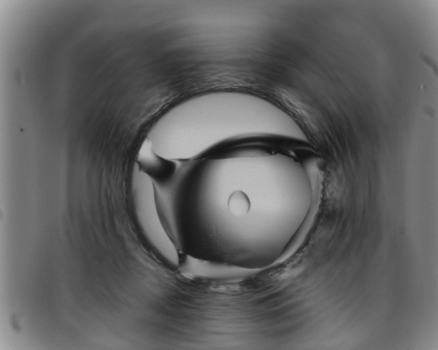 X0000096400362200801311356