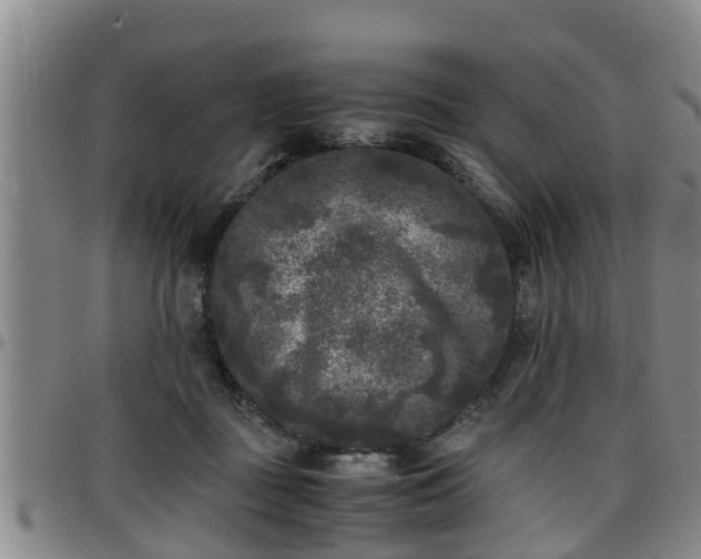 X0000096400363200801311356