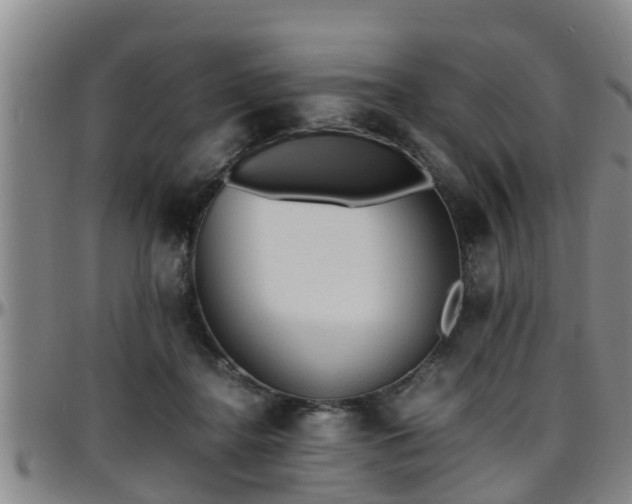 X0000096400364200801311356