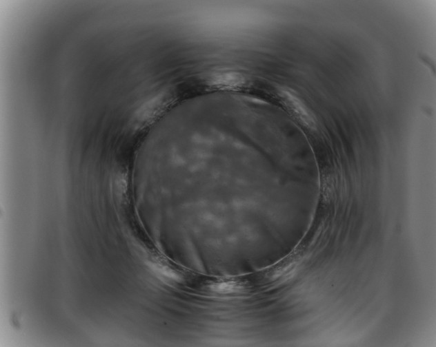 X0000096400365200801311356