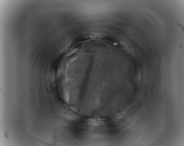 X0000096400367200801311356