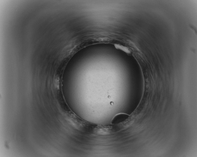 X0000096400368200801311356