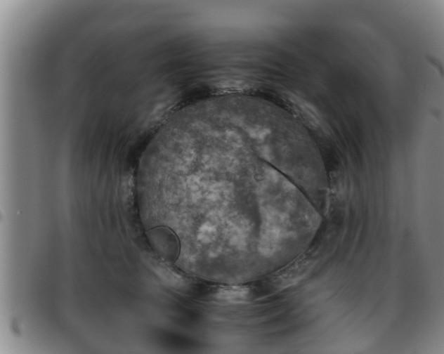 X0000096400369200801311356