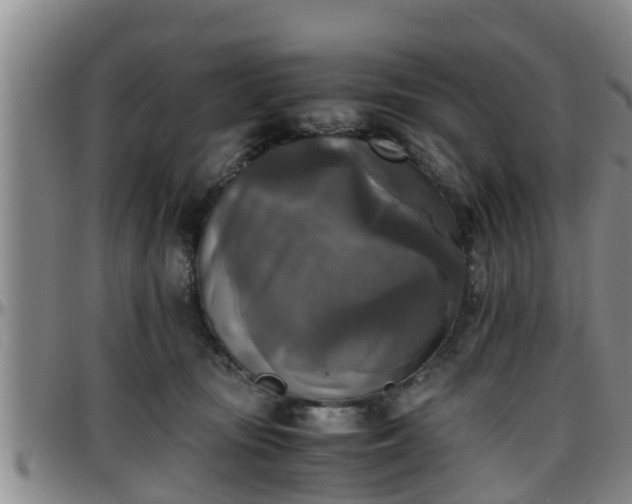 X0000096400371200801311356