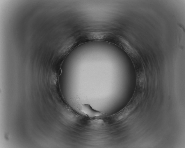 X0000096400374200801311356