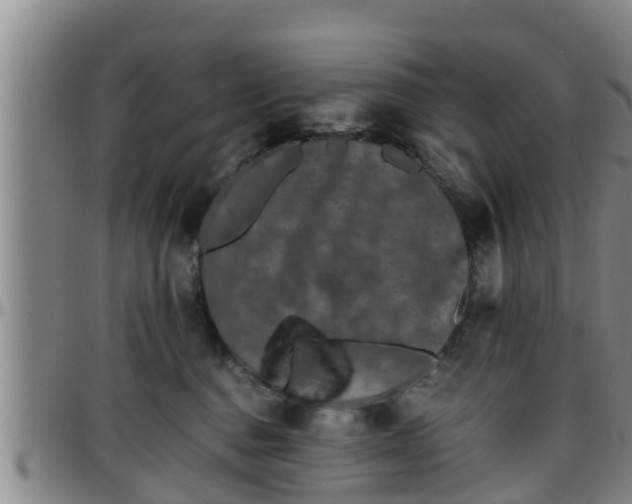 X0000096400376200801311356