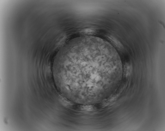 X0000096400377200801311356