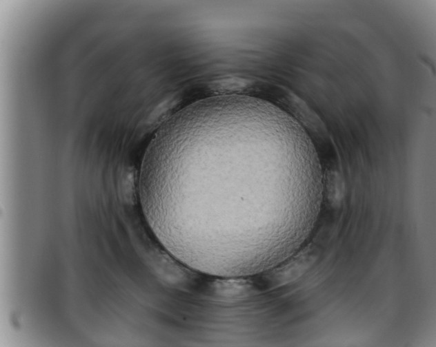 X0000096400378200801311356