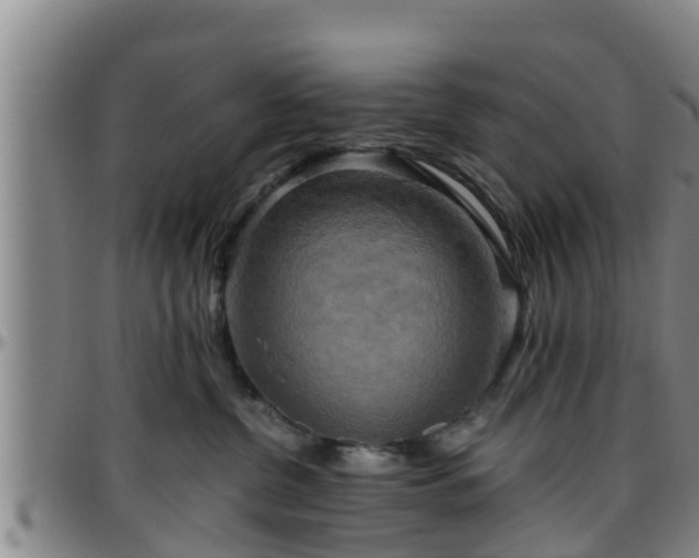 X0000096400380200801311356