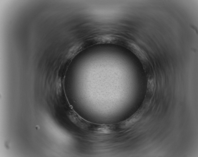 X0000096400381200801311356