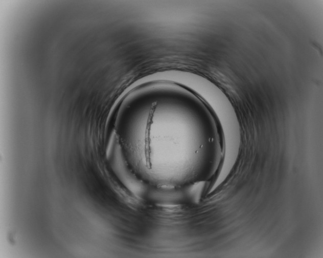 X0000096400382200801311356