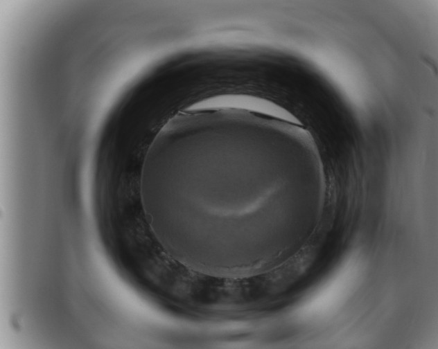 X0000096400383200801311356