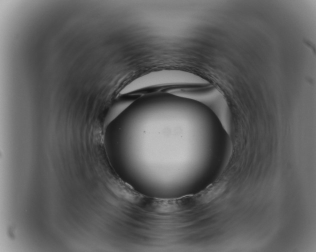 X0000096400384200801311356