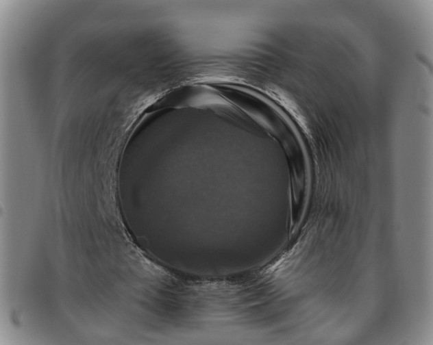 X0000096400385200801311355