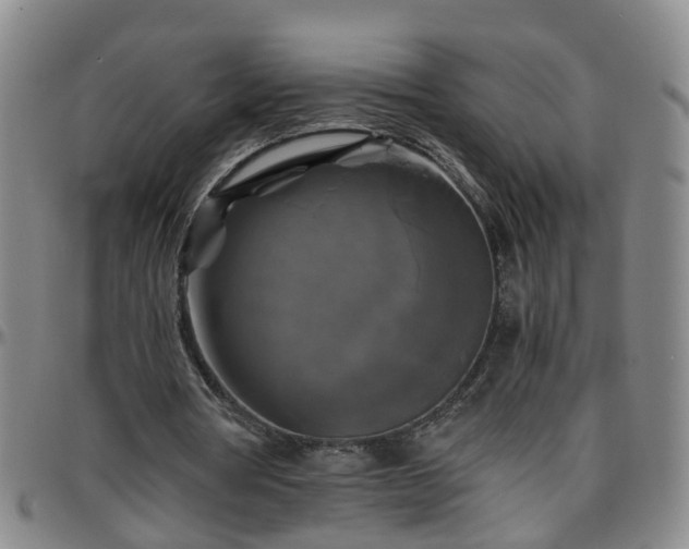 X0000096400386200801311355