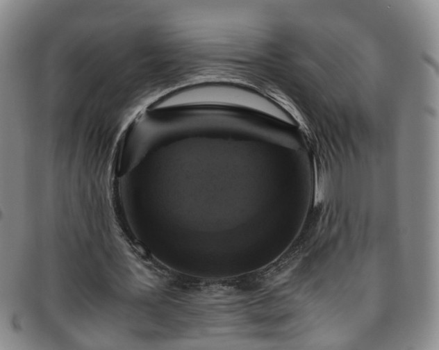 X0000096400387200801311355