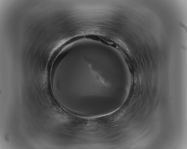 X0000096400388200801311355