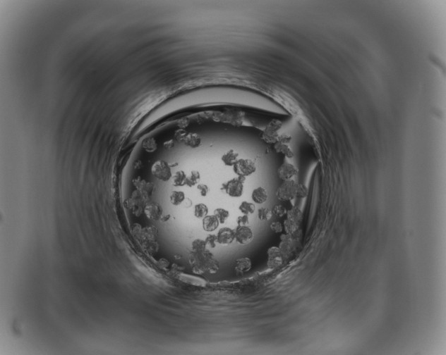 X0000096400389200801311355