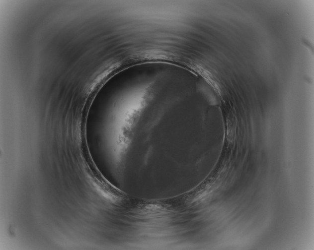 X0000096400390200801311355