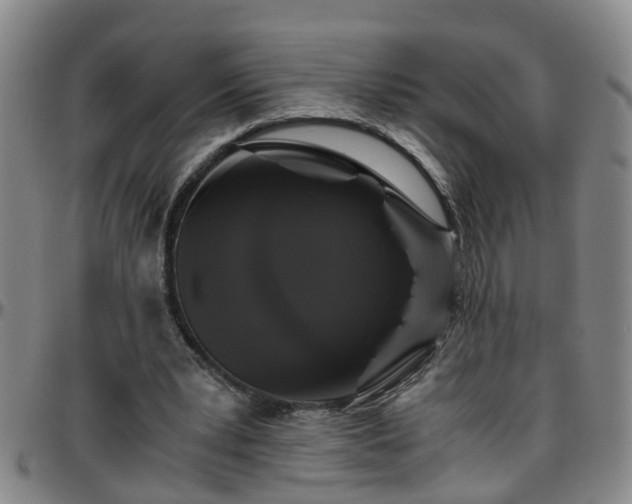 X0000096400391200801311355