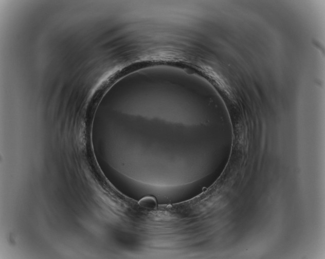 X0000096400392200801311355