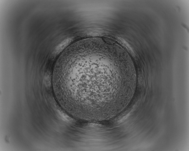 X0000096400393200801311355