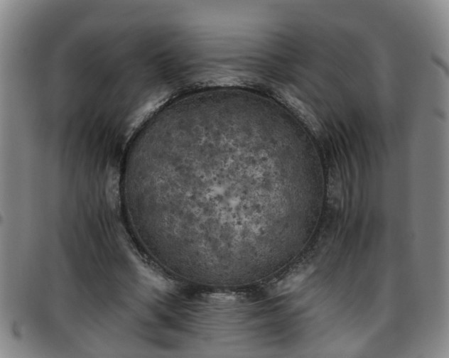 X0000096400394200801311355