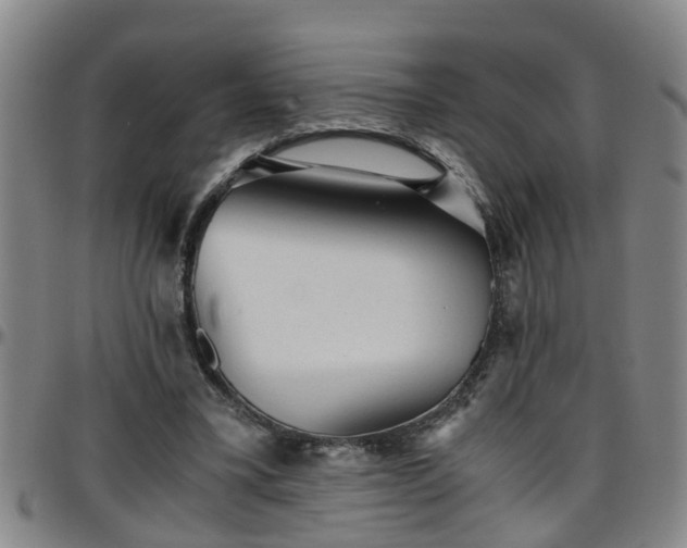 X0000096400395200801311355