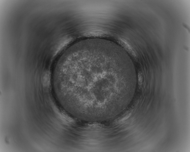 X0000096400396200801311355