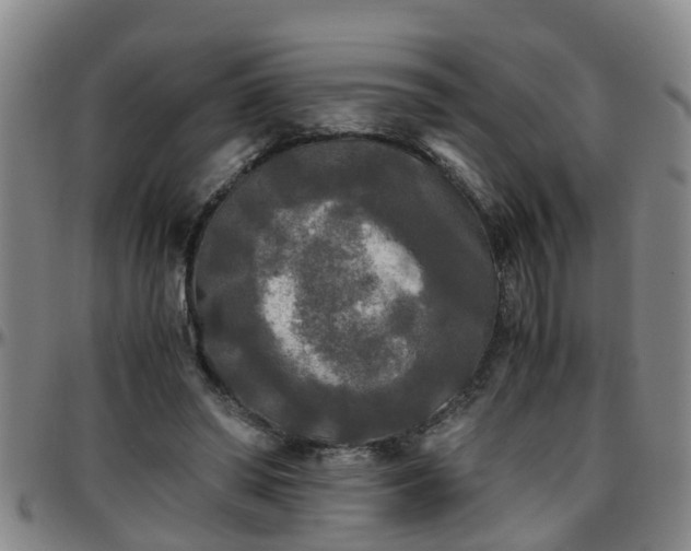 X0000096400398200801311355