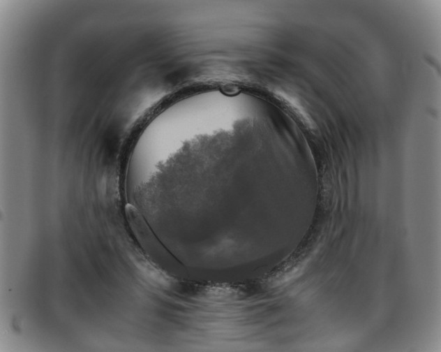 X0000096400399200801311355