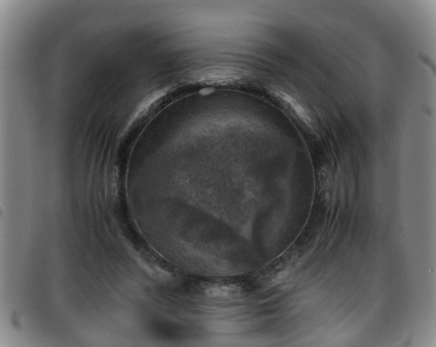 X0000096400400200801311355