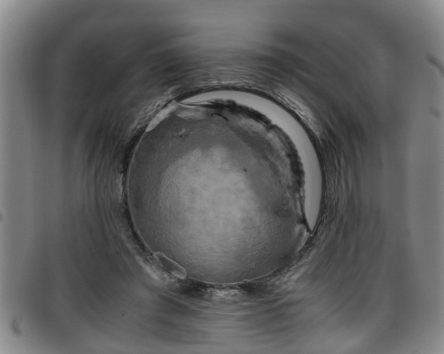 X0000096400401200801311355