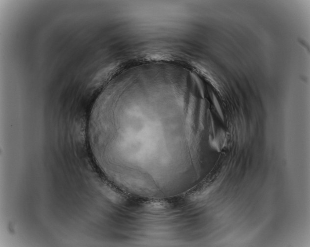 X0000096400402200801311355