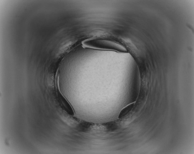 X0000096400403200801311355