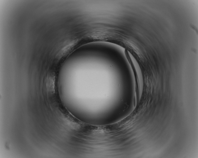 X0000096400404200801311355