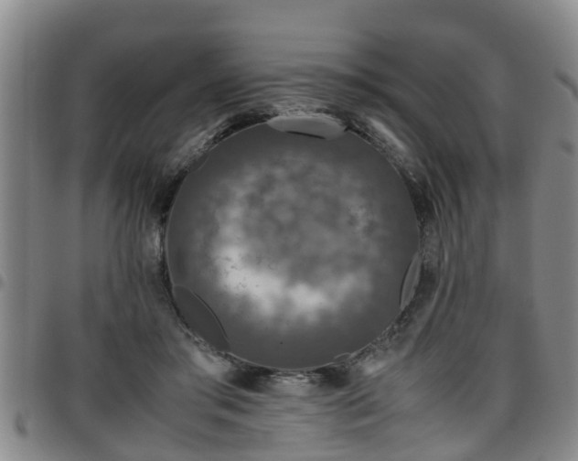 X0000096400405200801311355