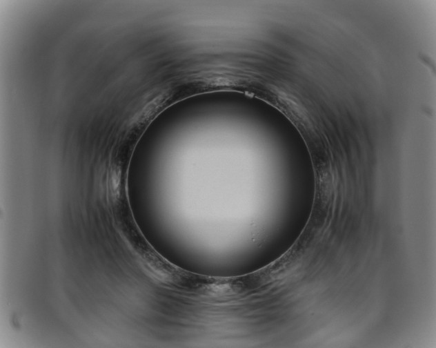 X0000096400406200801311355