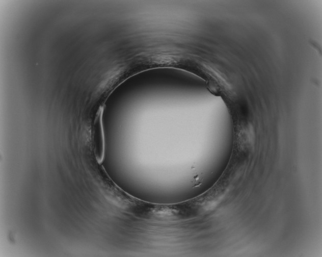 X0000096400407200801311355