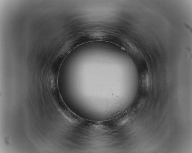 X0000096400408200801311355