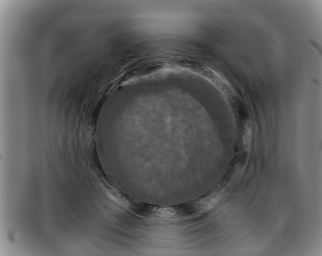 X0000096400409200801311355