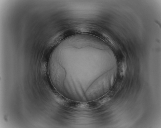 X0000096400410200801311355