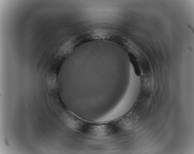 X0000096400411200801311355