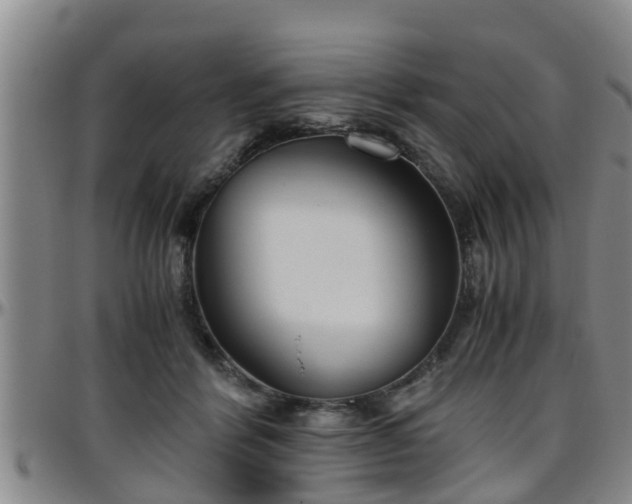 X0000096400412200801311355