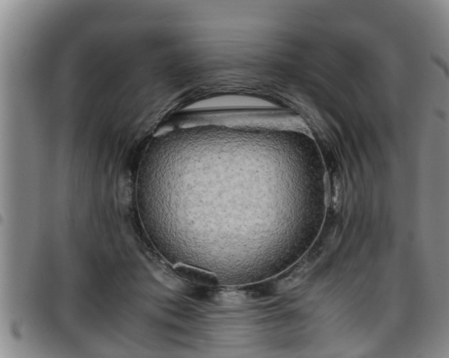 X0000096400413200801311355