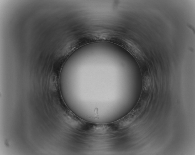 X0000096400414200801311355