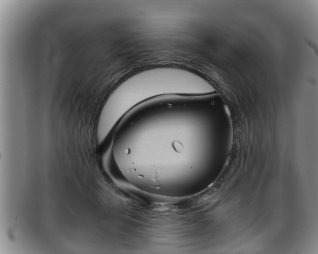 X0000096400415200801311355